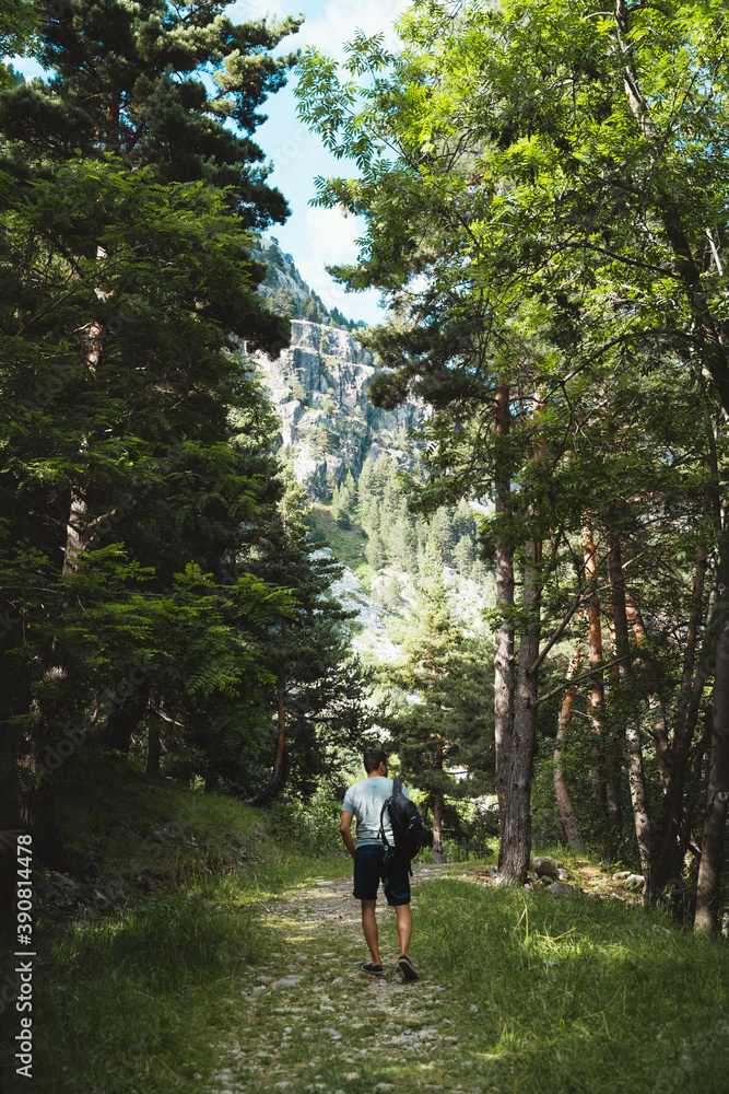Obraz premium Adult male hiker walking through the forest on a warm sunny day