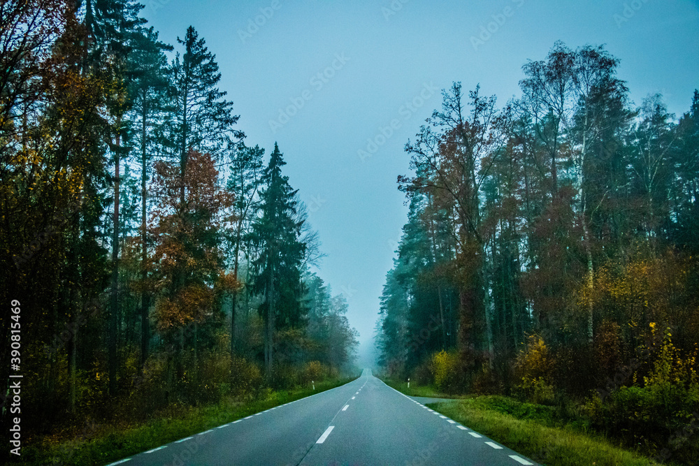 Obraz premium autumn road with foggy trees