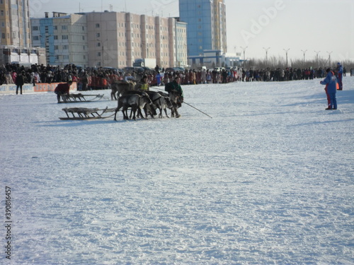 horse racing in winter © Денис Кучин