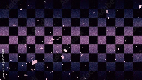 花吹雪  (はやい)  　 背景 　濃い紫 市松模様  