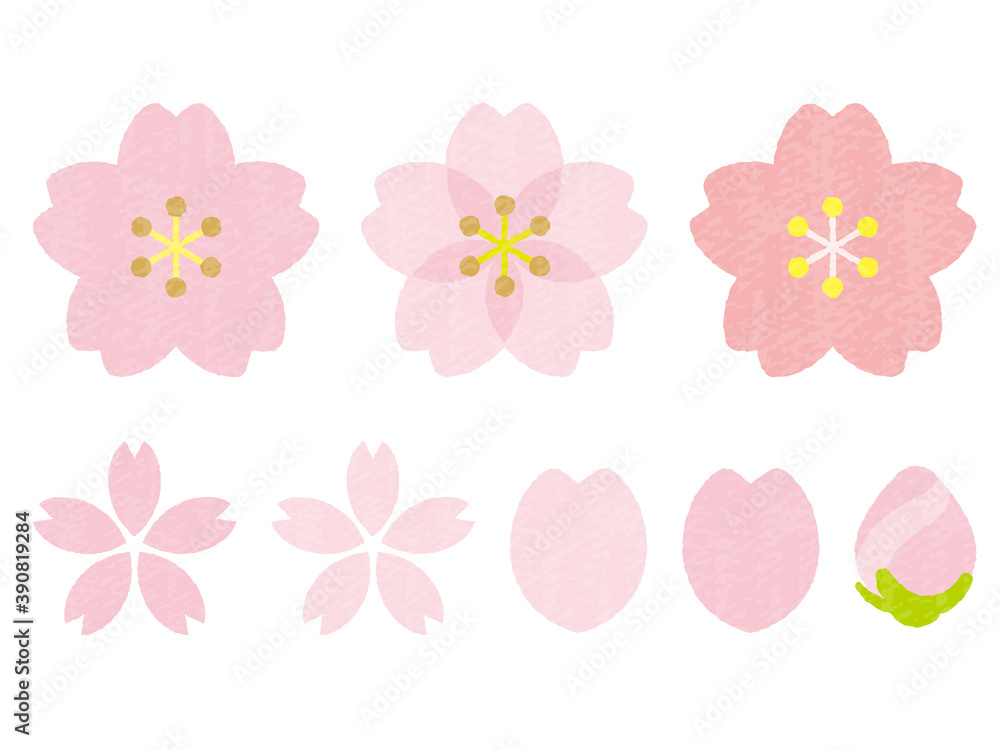 手書き風かわいい桜の花-cute cherry blossoms