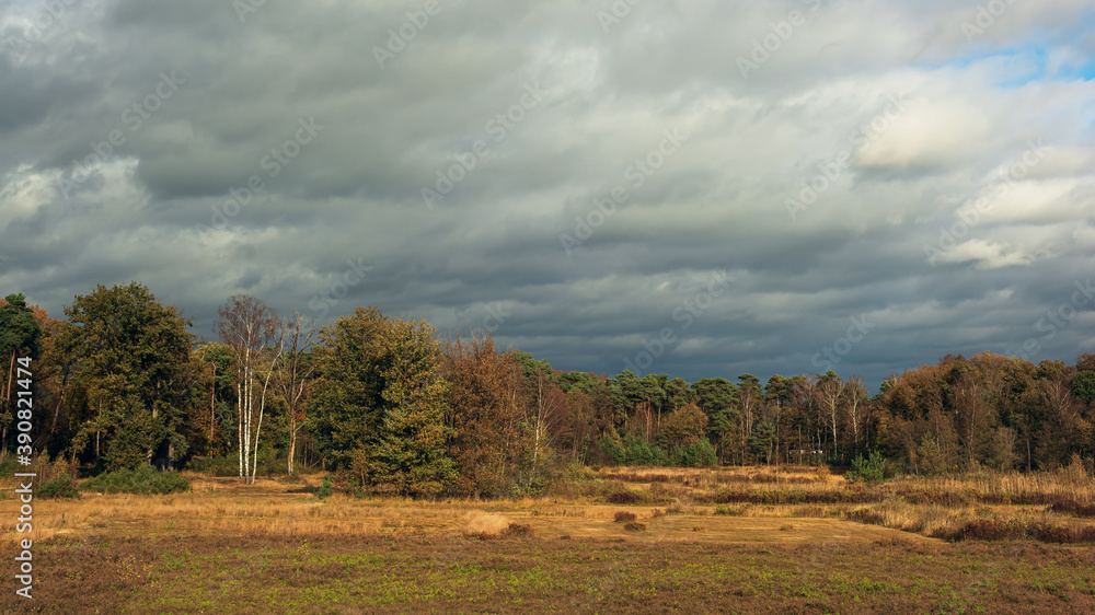 Rural landscape with bushes, pine trees and birches under cloudy sky during fall. Rural landscape with bushes, pine trees and birches under cloudy sky during fall.