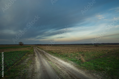 Sandy road through fields and evening clouds