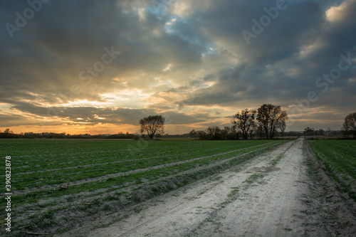 Rural road through green fields and sunset