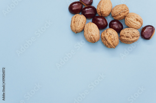 High angle shot of a background with hazelnuts and walnuts with a copy space photo