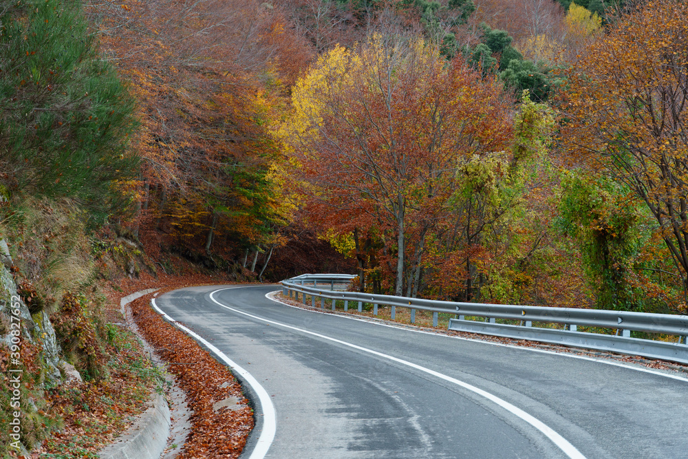 Naklejka premium Carretera de montaña 1