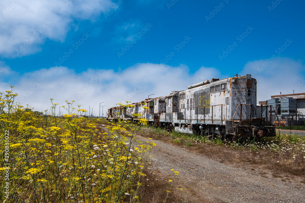 Fototapeta premium Abandoned Railway Locomotives