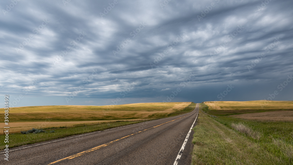 Highway and Wheat Fields in North Dakota