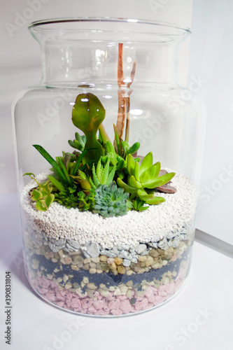Succulents composition in transparent glass jar with layered colorful rocky sand