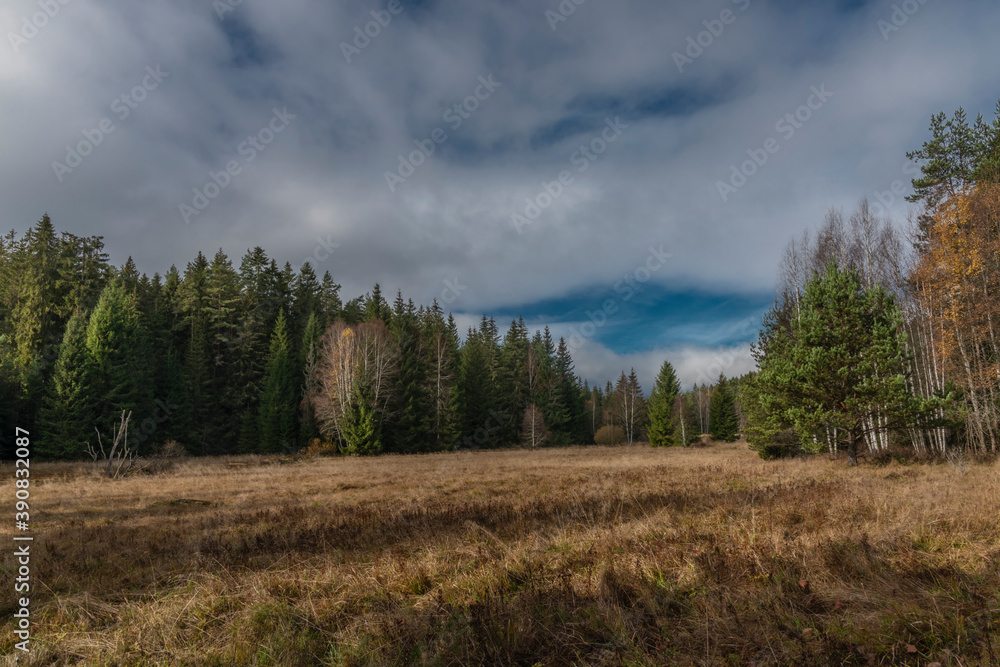 Meadow with dry grass after summer near Jezerni creek in autumn cloudy day