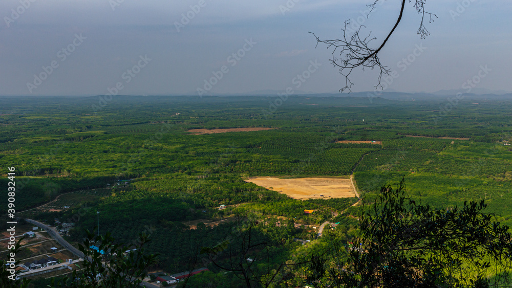 Obraz premium Stunning green nature panoramic view
