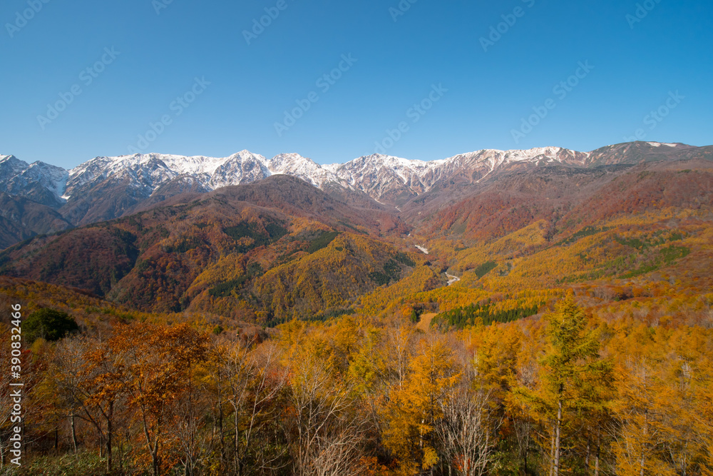 白馬・岩岳マウンテンハーバーから見た北アルプスの三段紅葉