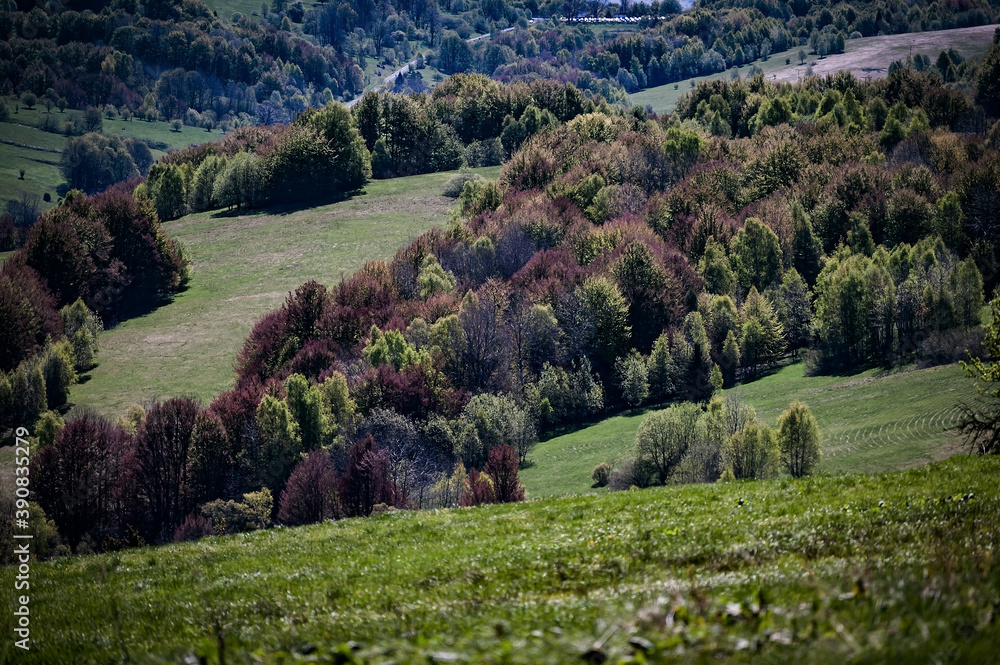 Bieszczady