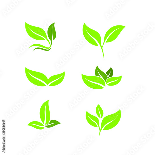 Vector collection with green leaves in flat style for icons and graphic design 