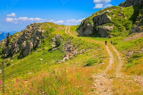 Postcards from Cerreto Alpi, Reggio Emilia, Emilia Romagna, Italy