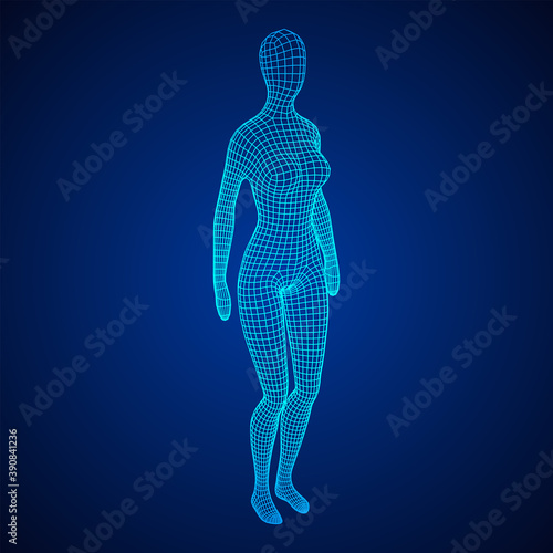 Female or woman anatomy. Body biology medicine education concept.