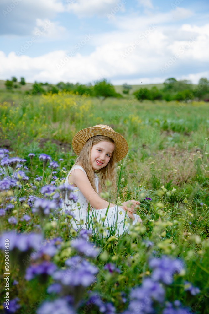 little girl in a field of flowers little girl in a field of flowers