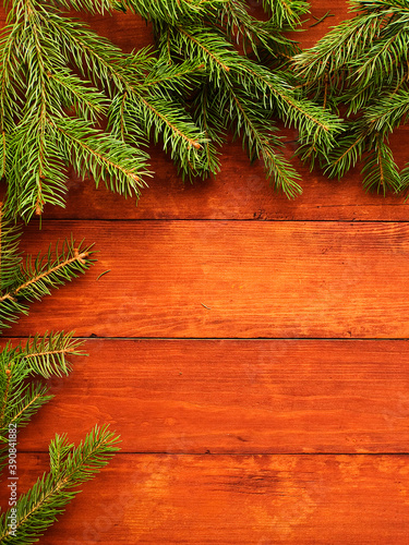 Christmas pine tree background