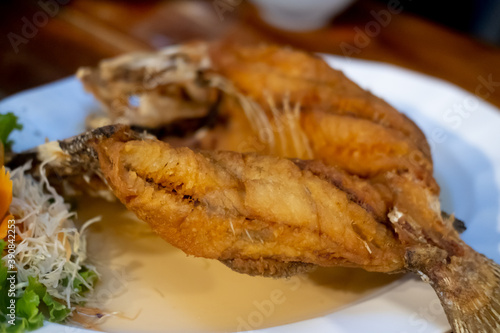 Close up of deep fried fish with fish sauce on the white plate.