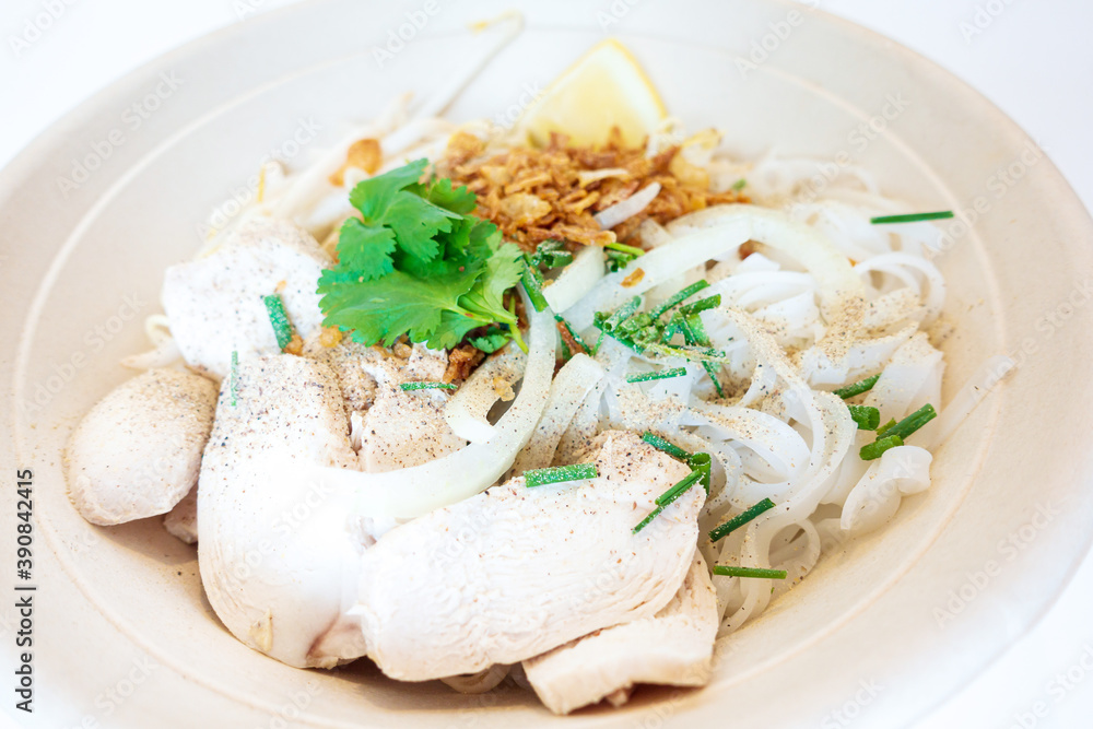 Delicious homemade Vietnamese soup Pho cooked with rice noodles, coriander leaves, soy sprouts, onions and chicken pieces for a complete and healthy meal Delicious homemade Vietnamese soup Pho cooked with rice noodles, coriander leaves, soy sprouts, onions and chicken pieces for a complete and healthy meal