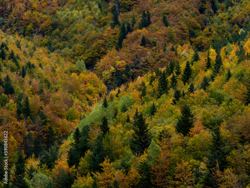Autumn colors in the Bujaruelo Valley, Aragonese Pyrenees, Spain