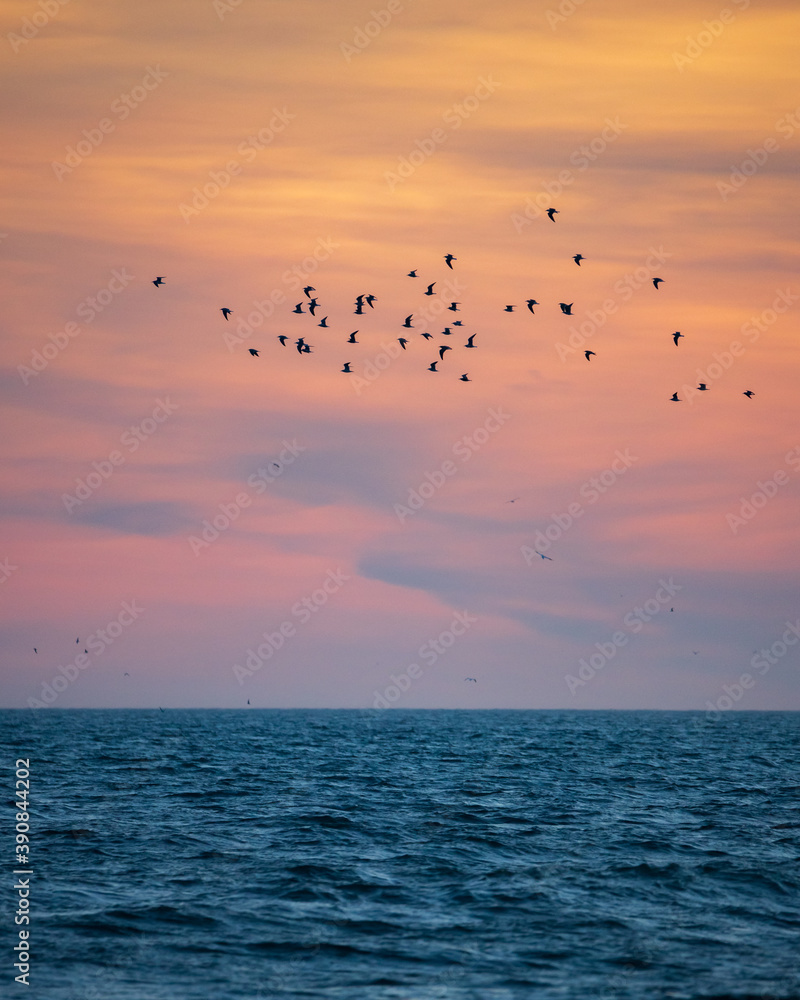 A large flock of seabirds flying over the ocean, with a colorful dusk sky in the background. A large flock of seabirds flying over the ocean, with a colorful dusk sky in the background.