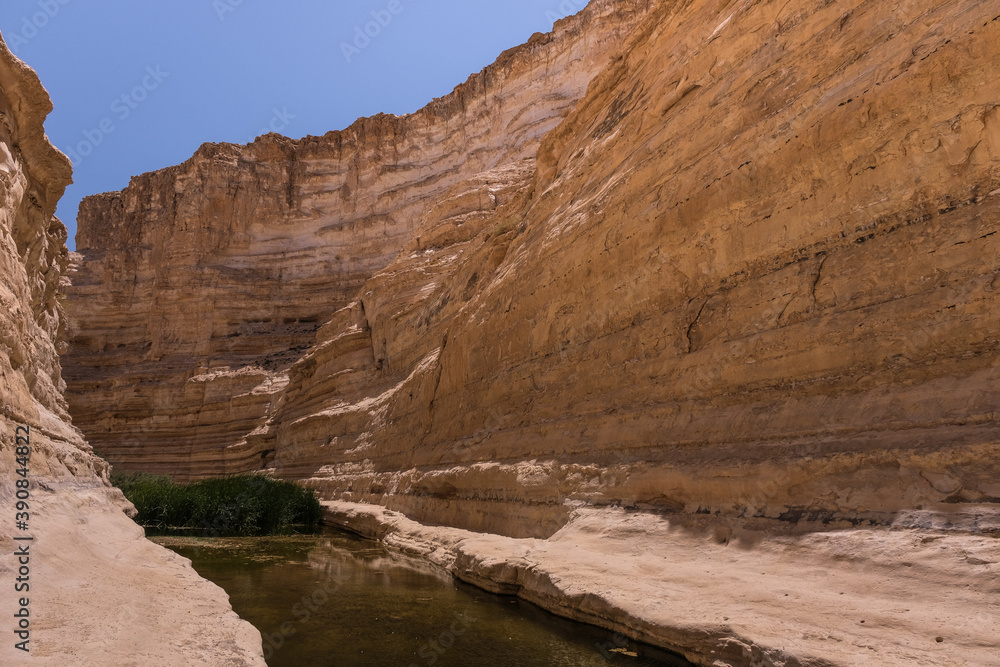 Fototapeta premium View of Ein Avdat National Park oasis spring, located at the end of a deep canyon, carved by Zin stream at the foot of Midreshet Ben Gurion in Kibbutz Sde Boker, Negev desert, Southern Israel, Israel.