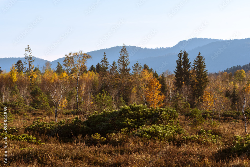 Moor Im Herbst vor Bergen mit blauem Himmel und Wolken