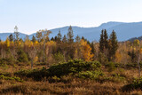 Moor Im Herbst vor Bergen mit blauem Himmel und Wolken