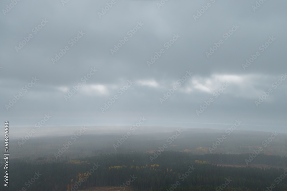 Autumn rain over the Swedish forest seen from the top of the hill