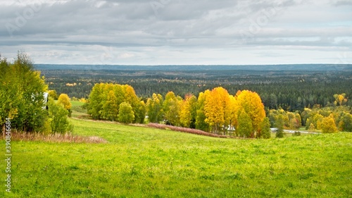 Foto Trees in autumn colors growing in a green field