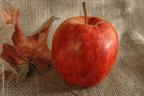 czerwone jabłko w jesiennej aranżacji