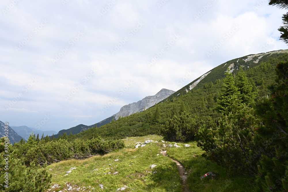 Wandern Bergsteigen auf den Guffert den Hausberg der Münchner in Tirol Österreich bei Achenkirch Rofan Wandern Bergsteigen auf den Guffert den Hausberg der Münchner in Tirol Österreich bei Achenkirch Rofan