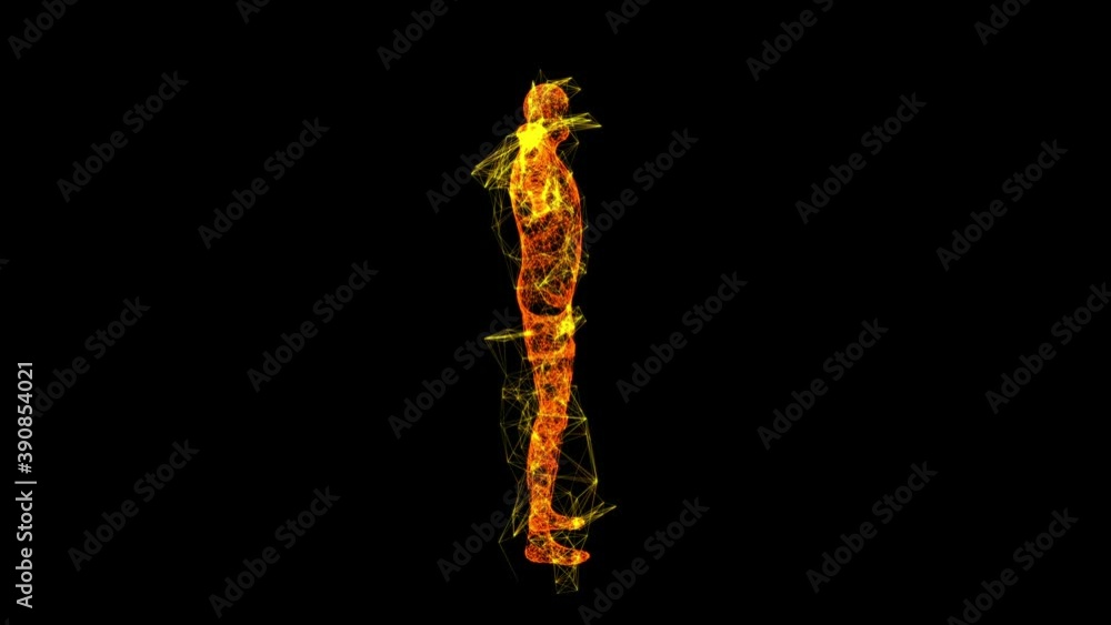 3d male or man anatomy. Body biology medicine education concept. Wireframe low poly mesh cyberspace grid science and technology Available in 4K FullHD and HD video 3d male or man anatomy. Body biology medicine education concept. Wireframe low poly mesh cyberspace grid science and technology Available in 4K FullHD and HD video