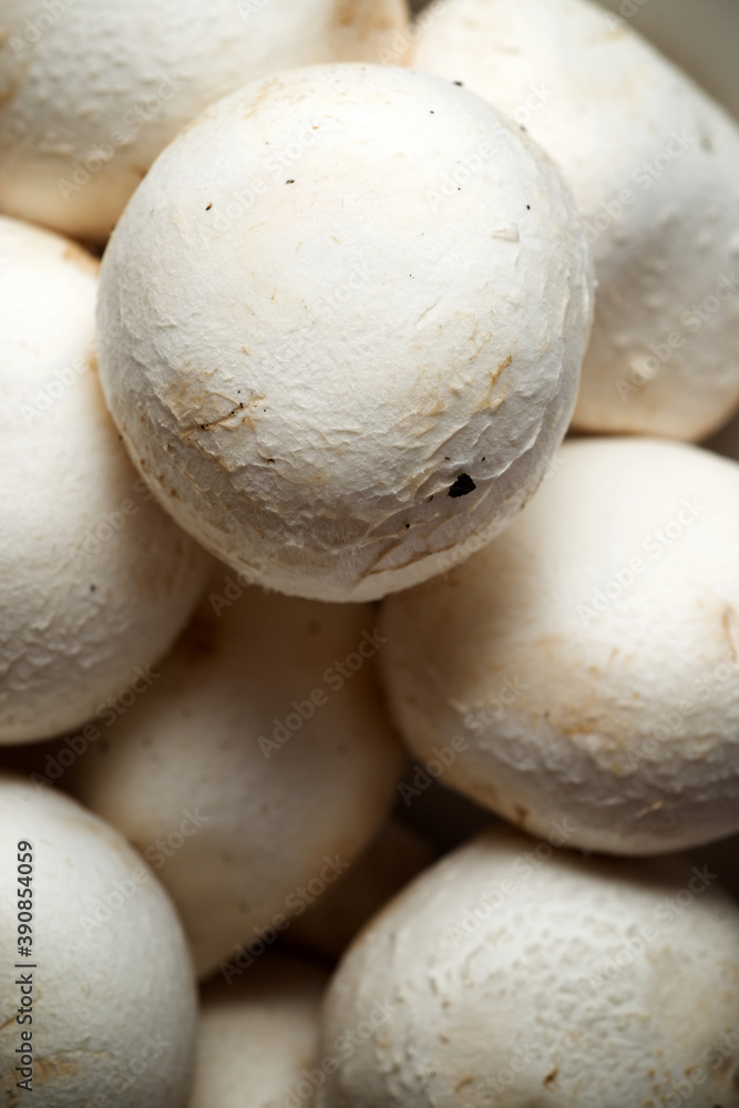 Fototapeta premium Mushrooms close up