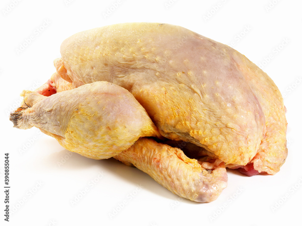 Raw Guinea Fowl - Isolated on white Background
