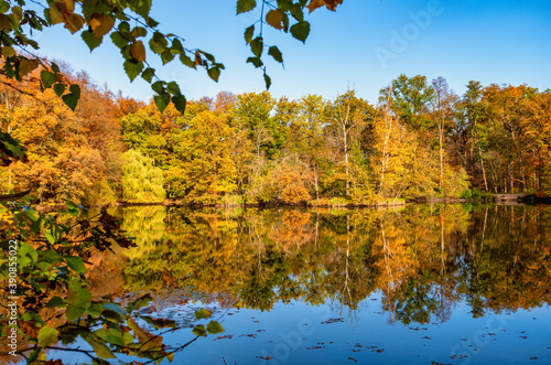 Herbst am See II