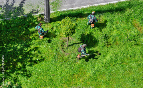 team of workers mow the grass with brushcutters, top view