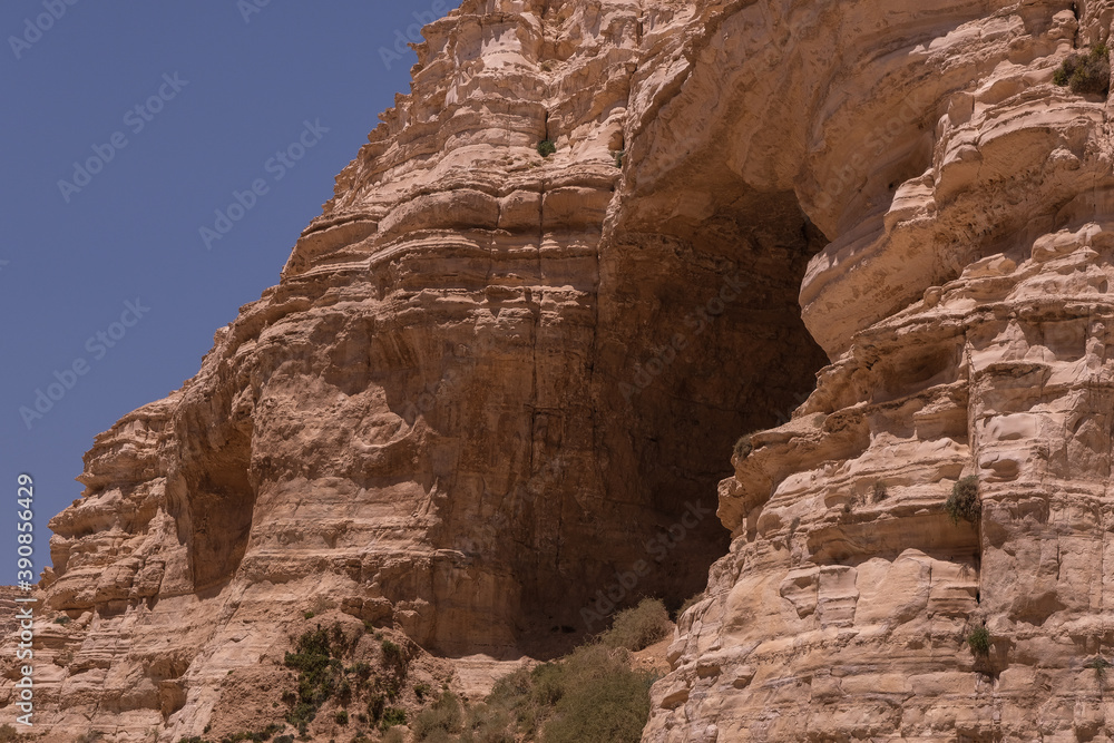 View of Ein Avdat National Park oasis spring, located at the end of a deep canyon, carved by Zin stream at the foot of Midreshet Ben Gurion in Kibbutz Sde Boker, Negev desert, Southern Israel, Israel.