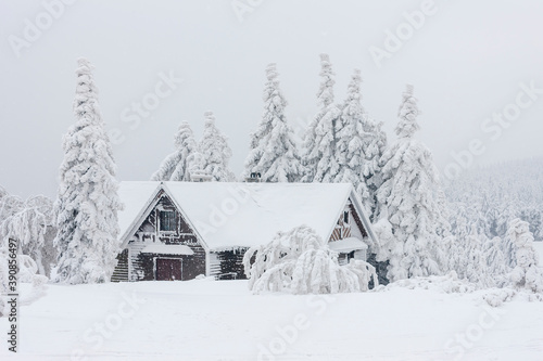 cottage in winter, Orlicke mountains, Czech Republic © Richard Semik