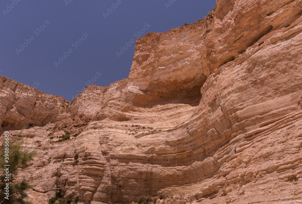 Obraz premium View of Ein Avdat National Park oasis spring, located at the end of a deep canyon, carved by Zin stream at the foot of Midreshet Ben Gurion in Kibbutz Sde Boker, Negev desert, Southern Israel, Israel.