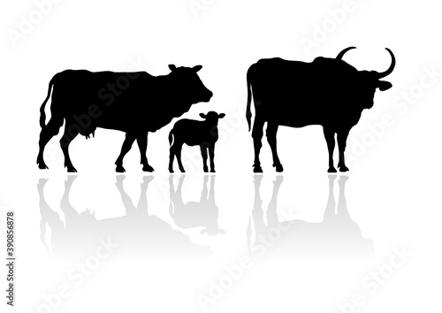 Cattle Family's Silhouette. vector file	
