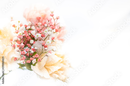 Still life of flowers on white background © Richard Semik