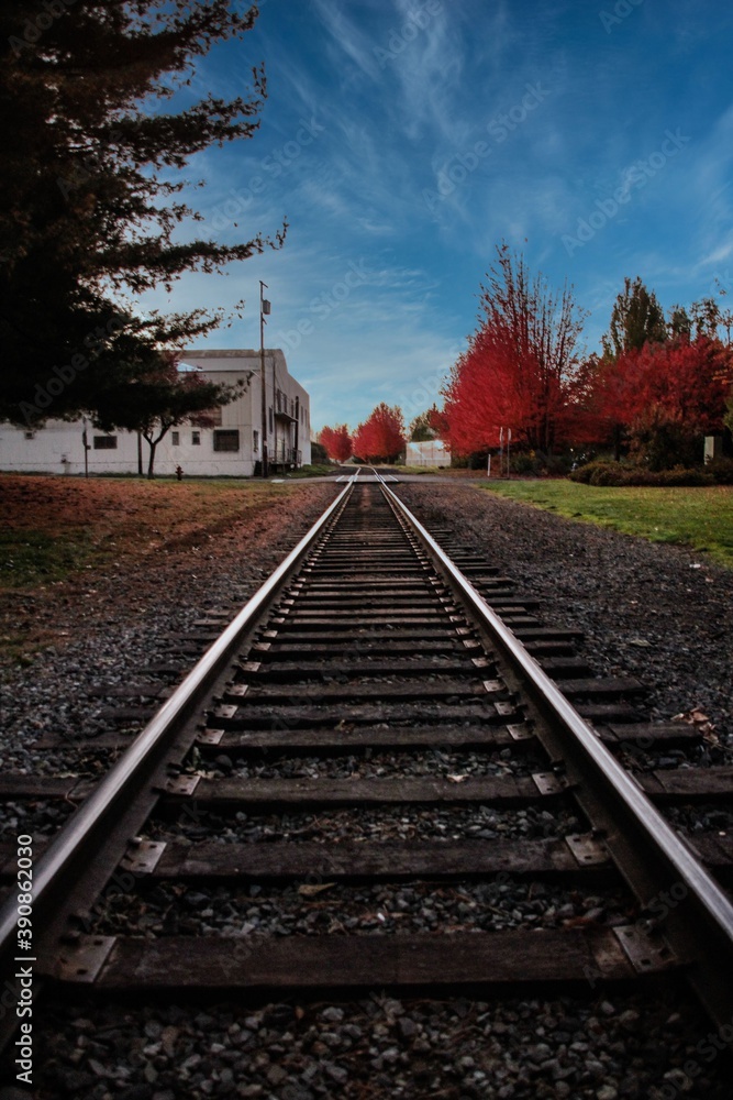 railway in the park