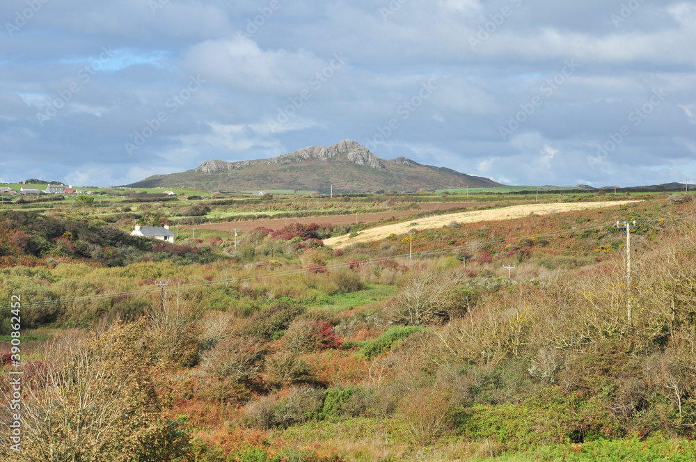 Pembrokeshire Countryside near St Davids
