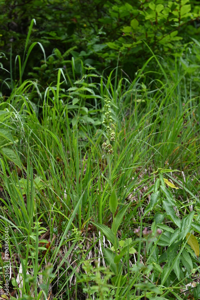 Wandern in der Kaiserklamm in den Tiroler Alpen Wandern in der Kaiserklamm in den Tiroler Alpen
