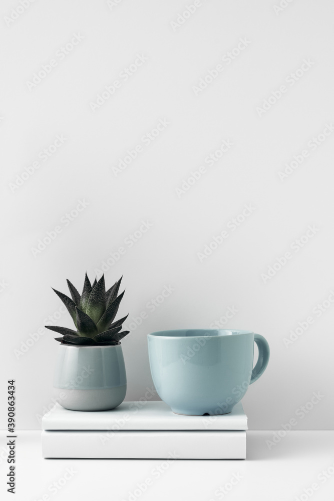 Fototapeta premium Mug and pot with indoor flower on a white background. Natural and eco-friendly materials in the interior, minimalism. Copy space, mock up.