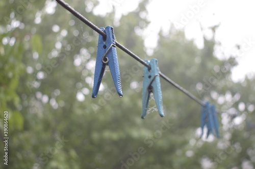 Blue clothespins on a wire among the trees in the fog.