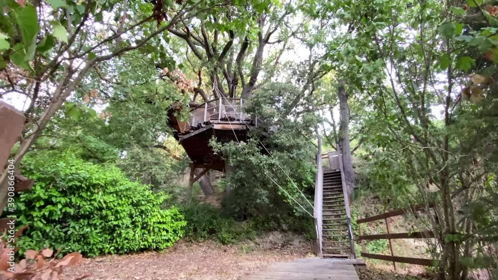 Stunning low angle shot of a tree fort in the middle of a forest in France Stunning low angle shot of a tree fort in the middle of a forest in France
