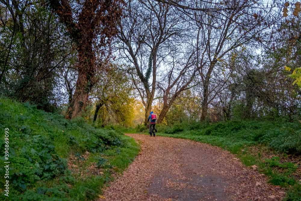 Φωτογραφία Via Rhôna (greenway for cyclists and walkers) in autumn, from Donzère to Bourg S